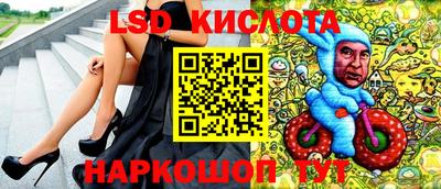 прущие грибы Гатчина