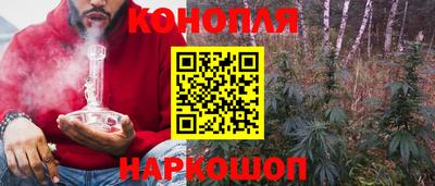 прущие грибы Гатчина