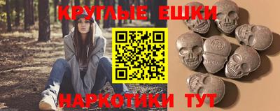 прущие грибы Гатчина