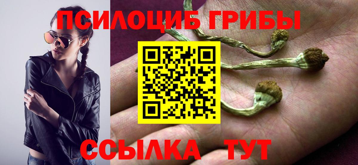 Кувандык  Псилоцибиновые грибы мицелий  Вход с VPN 
